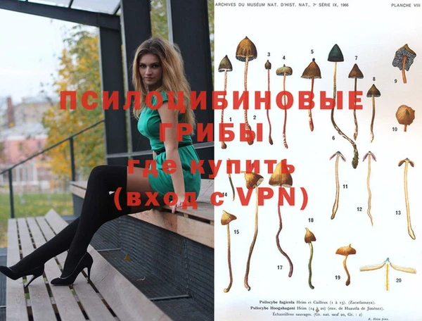 MESCALINE Богданович